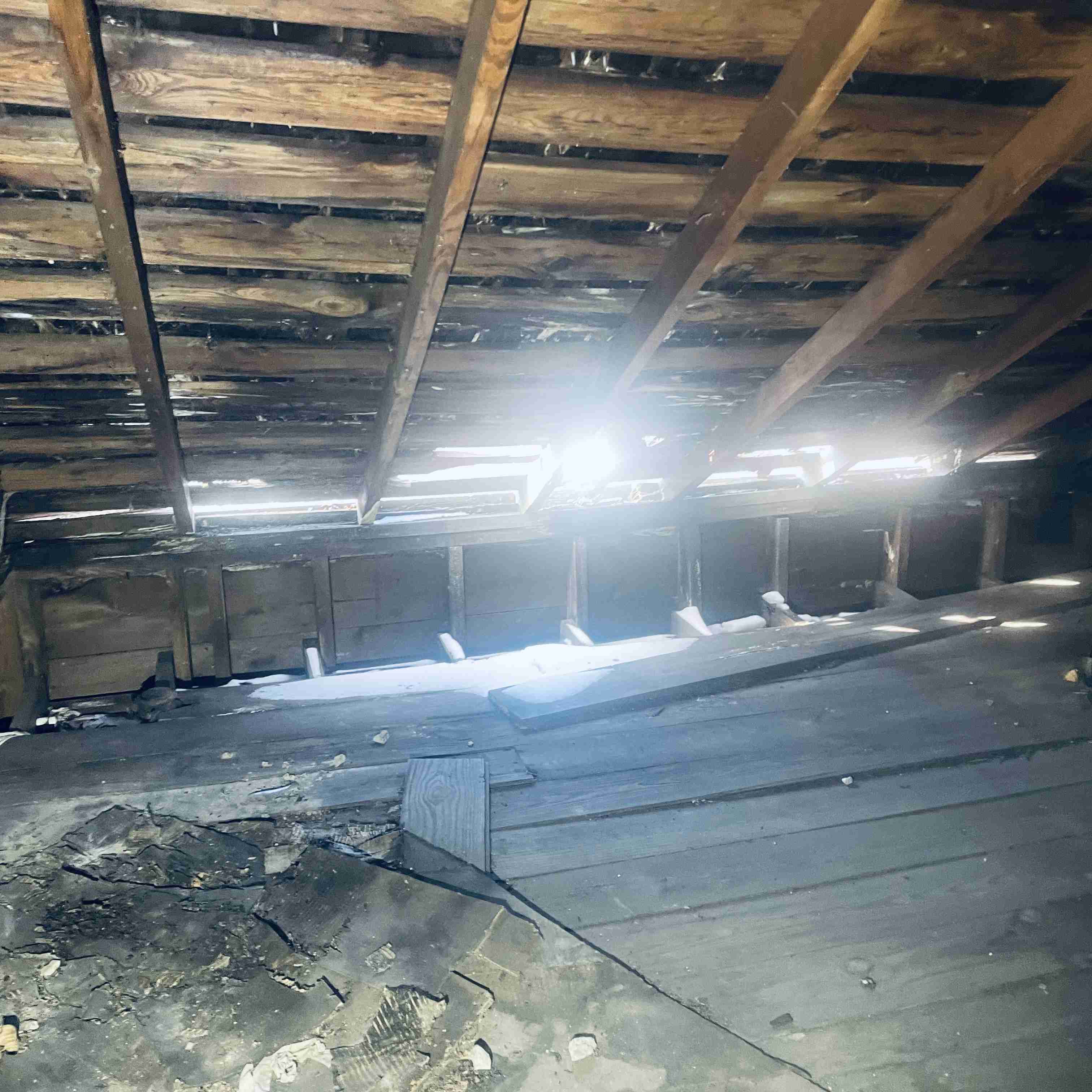 12484 Loretto (36).jpg